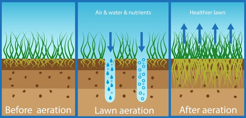 Soil Analysis